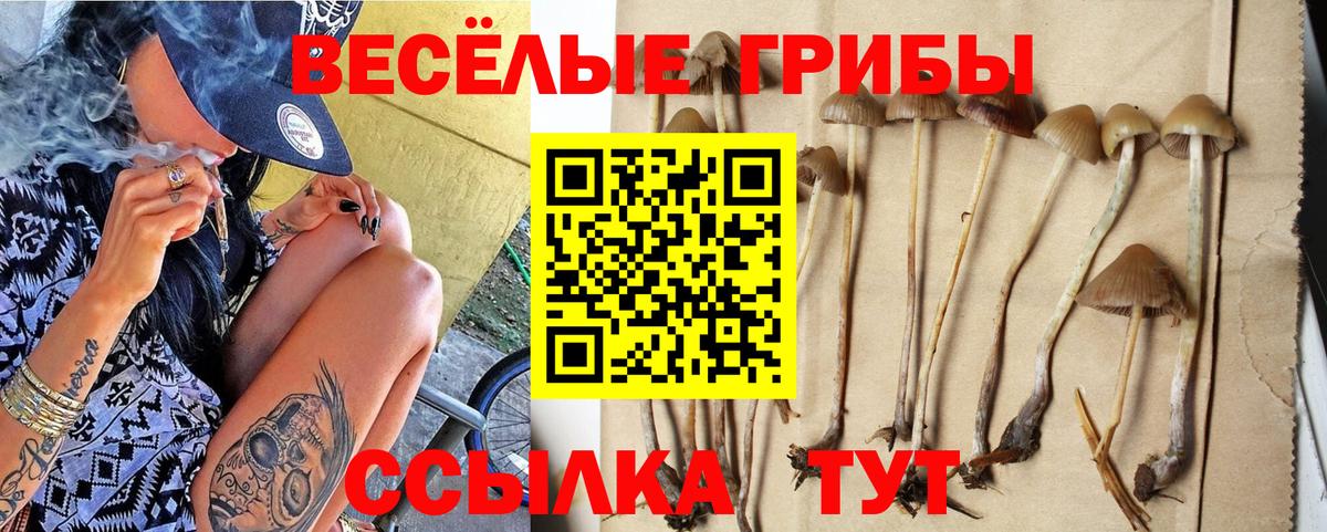 Псилоцибиновые грибы MAGIC MUSHROOMS  Галлюциногенные грибы мицелий  Кашира  Вход с VPN 