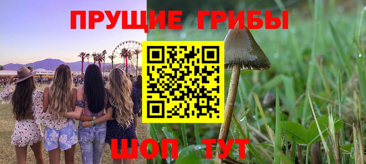 Псилоцибиновые грибы прущие грибы Кашира