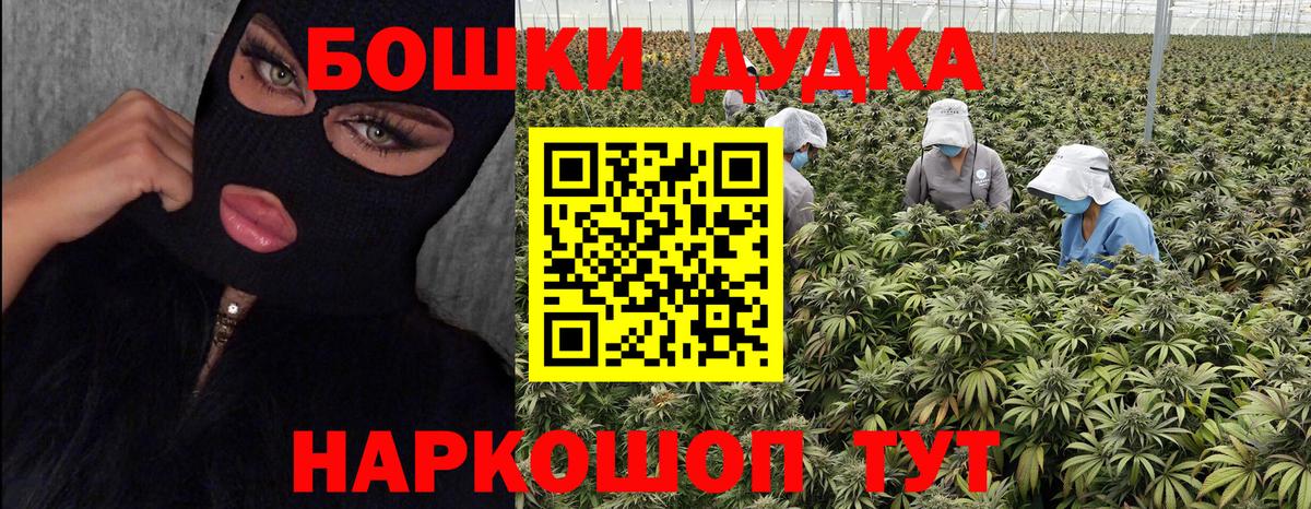 Бошки марихуана Ganja  МАРИХУАНА OG Kush  Кашира  Вход с VPN 